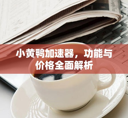 小黄鸭加速器，功能与价格全面解析