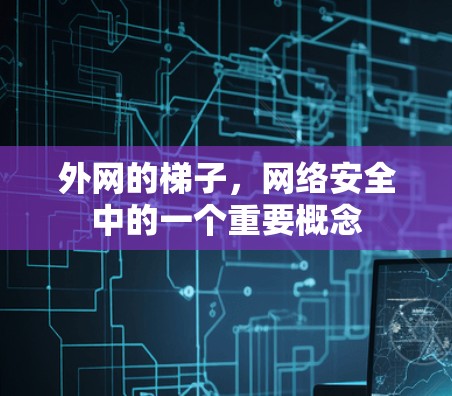 外网的梯子，网络安全中的一个重要概念