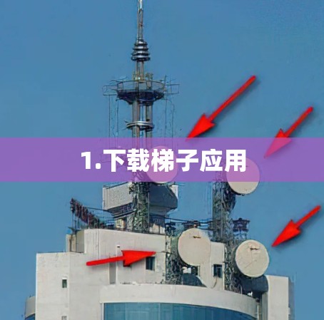 1.下载梯子应用