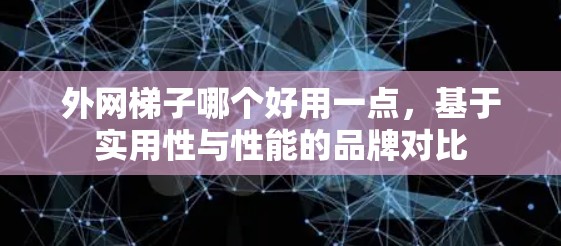 外网梯子哪个好用一点，基于实用性与性能的品牌对比