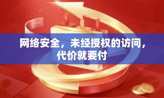 网络安全，未经授权的访问，代价就要付