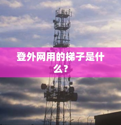 登外网用的梯子是什么？