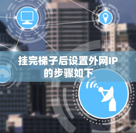 挂完梯子后设置外网IP的步骤如下