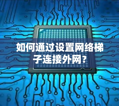 如何通过设置网络梯子连接外网？