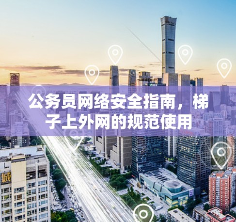 公务员网络安全指南，梯子上外网的规范使用