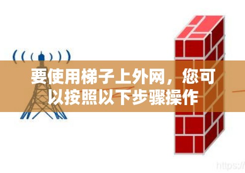 要使用梯子上外网，您可以按照以下步骤操作