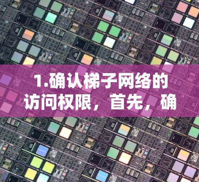 1.确认梯子网络的访问权限，首先，确保你有权限在梯子网络上访问外网。如果梯子网络是属于某个组织或网络，可能需要联系网络管理员确认是否允许访问外网