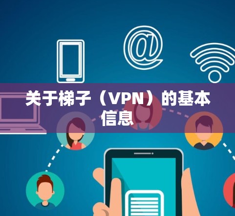 关于梯子（VPN）的基本信息