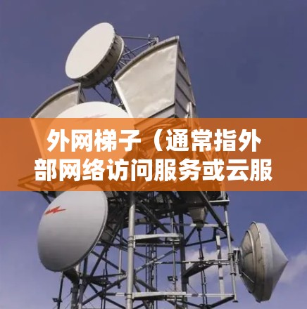外网梯子(通常指外部网络访问服务或云服务)通常有不同的收费模式,具体费用取决于所选服务类型、使用量以及提供商的定价策略。以下是一些常见的外网梯子及其大致年费范围 外网梯子(通常指外部网络访问服务或云服务)通常有不同的收费模式,具体费用取决于所选服务类型、使用量以及提供商的定价策略。以下是一些常见的外网梯子及其大致年费范围