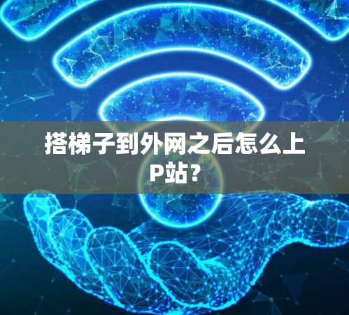 搭梯子到外网之后怎么上P站？
