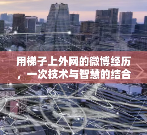 用梯子上外网的微博经历，一次技术与智慧的结合