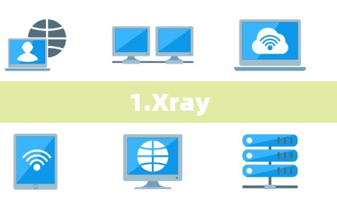 1.Xray 1.Xray