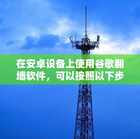 在安卓设备上使用谷歌翻墙软件，可以按照以下步骤进行