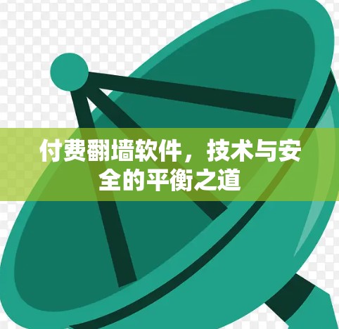 付费翻墙软件，技术与安全的平衡之道