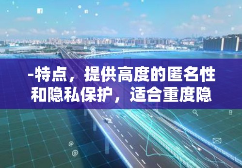 -特点,提供高度的匿名性和隐私保护,适合重度隐私需求的用户 -特点,提供高度的匿名性和隐私保护,适合重度隐私需求的用户