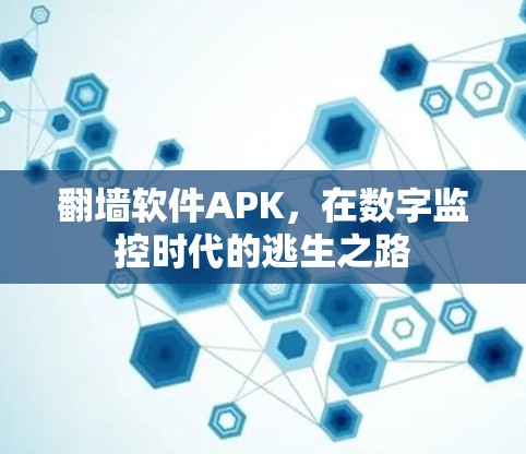 翻墙软件APK，在数字监控时代的逃生之路