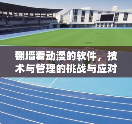 翻墙看动漫的软件，技术与管理的挑战与应对策略