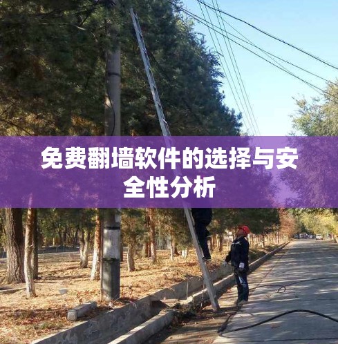 免费翻墙软件的选择与安全性分析 免费翻墙软件的选择与安全性分析
