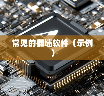 常见的翻墙软件(示例) 常见的翻墙软件(示例)