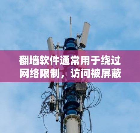 翻墙软件通常用于绕过网络限制,访问被屏蔽的网站或获取未经授权的内容。然而,使用翻墙软件赚钱可能涉及到法律和道德问题。以下是一些可能的方式,但需要注意这些方式可能涉及到违法行为 翻墙软件通常用于绕过网络限制,访问被屏蔽的网站或获取未经授权的内容。然而,使用翻墙软件赚钱可能涉及到法律和道德问题。以下是一些可能的方式,但需要注意这些方式可能涉及到违法行为