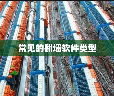 常见的翻墙软件类型 常见的翻墙软件类型