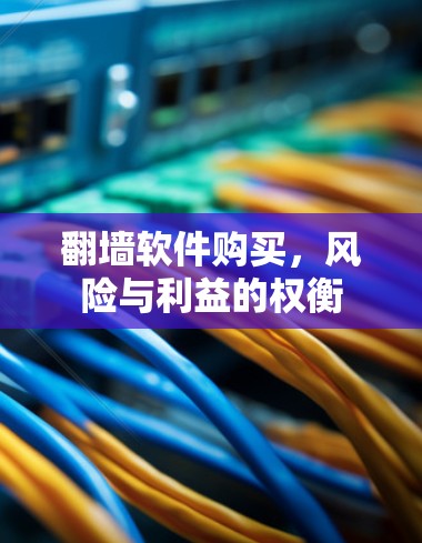 翻墙软件购买，风险与利益的权衡
