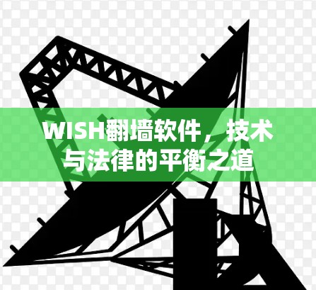 WISH翻墙软件，技术与法律的平衡之道