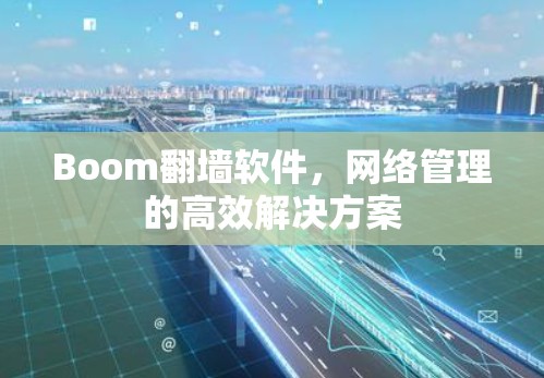 Boom翻墙软件，网络管理的高效解决方案