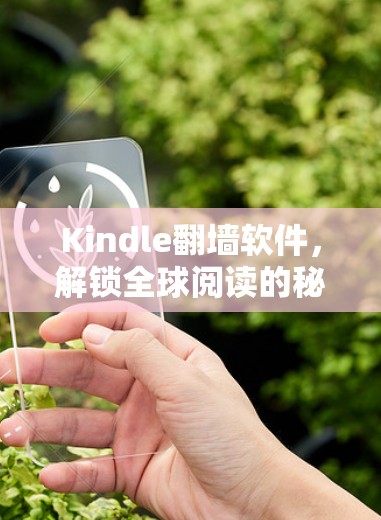 Kindle翻墙软件，解锁全球阅读的秘密