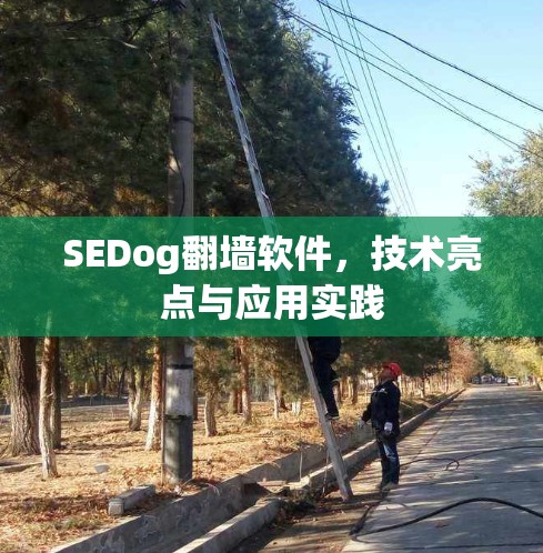 SEDog翻墙软件,技术亮点与应用实践 SEDog翻墙软件,技术亮点与应用实践