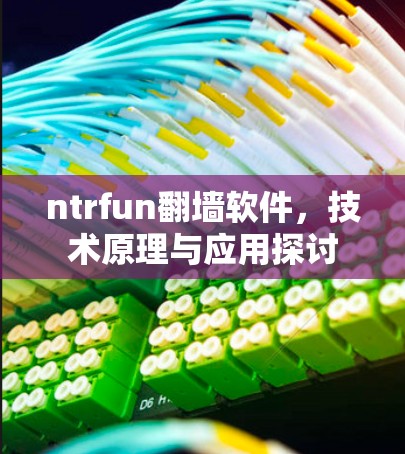 ntrfun翻墙软件，技术原理与应用探讨