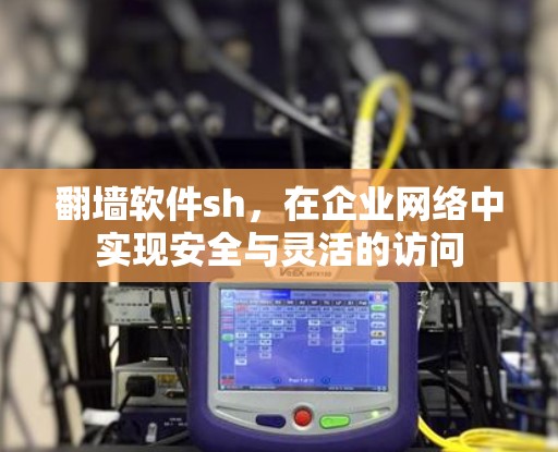 翻墙软件sh，在企业网络中实现安全与灵活的访问