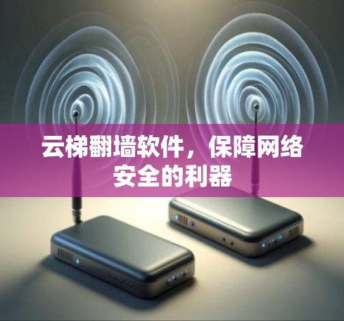 云梯翻墙软件，保障网络安全的利器