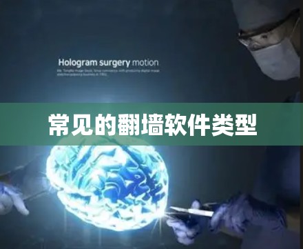 常见的翻墙软件类型 常见的翻墙软件类型