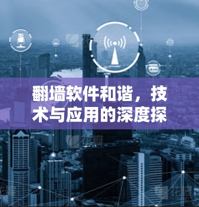 翻墙软件和谐，技术与应用的深度探讨