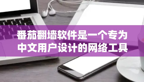 番茄翻墙软件是一个专为中文用户设计的网络工具，旨在帮助用户绕过国内网络防火墙，访问被屏蔽的国际网站。以下是关于番茄翻墙软件的详细介绍