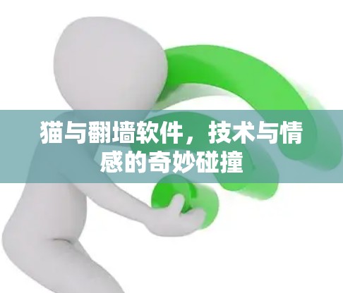 猫与翻墙软件,技术与情感的奇妙碰撞 猫与翻墙软件,技术与情感的奇妙碰撞