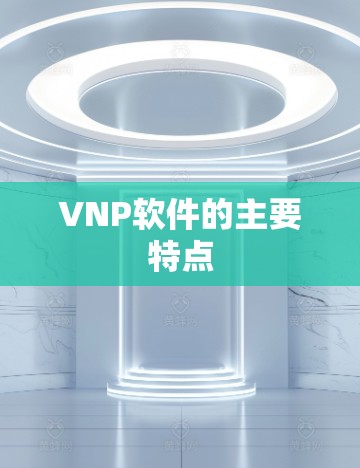 VNP软件的主要特点 VNP软件的主要特点