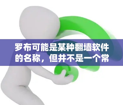 罗布可能是某种翻墙软件的名称，但并不是一个常见的术语。在网络环境中，翻墙软件通常指能够绕过网络限制、访问被限制访问的网站或内容的工具。这些软件通常包括VPN、代理服务器等