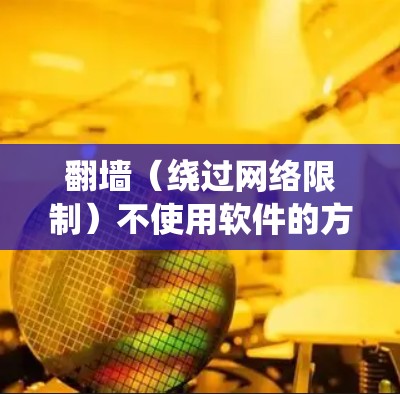 翻墙（绕过网络限制）不使用软件的方法主要有以下几种