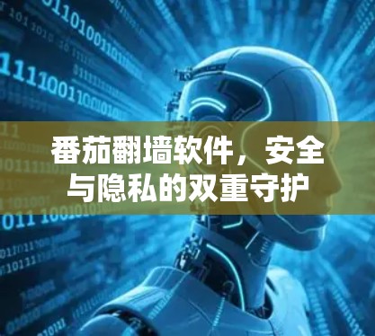番茄翻墙软件,安全与隐私的双重守护 番茄翻墙软件,安全与隐私的双重守护