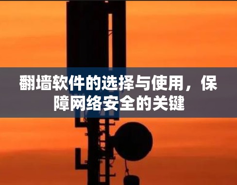 翻墙软件的选择与使用，保障网络安全的关键