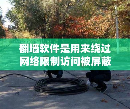 翻墙软件是用来绕过网络限制访问被屏蔽网站的工具。以下是电脑端常用的翻墙软件及其关键信息 翻墙软件是用来绕过网络限制访问被屏蔽网站的工具。以下是电脑端常用的翻墙软件及其关键信息