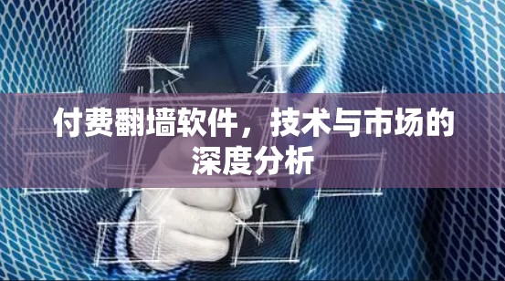 付费翻墙软件,技术与市场的深度分析 付费翻墙软件,技术与市场的深度分析