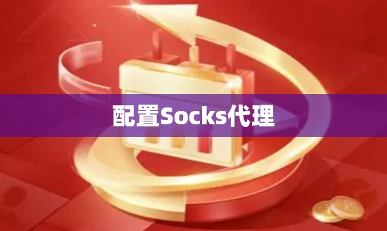 配置Socks代理 配置Socks代理