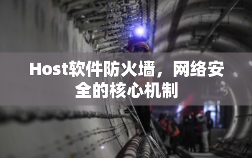Host软件防火墙,网络安全的核心机制 Host软件防火墙,网络安全的核心机制