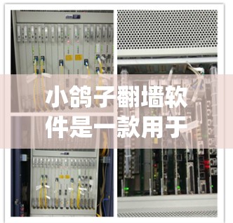 小鸽子翻墙软件是一款用于绕过网络限制和访问被封锁网站的工具。以下是对该软件的详细介绍