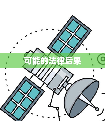 可能的法律后果 可能的法律后果