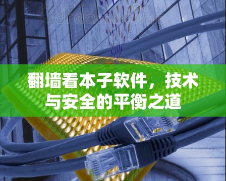 翻墙看本子软件,技术与安全的平衡之道 翻墙看本子软件,技术与安全的平衡之道