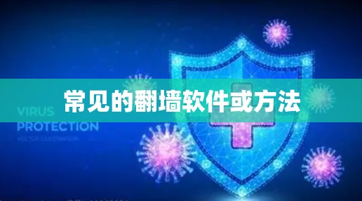 常见的翻墙软件或方法